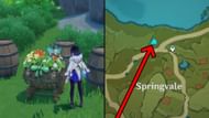 It's in Springvale (Image via HoYoverse)